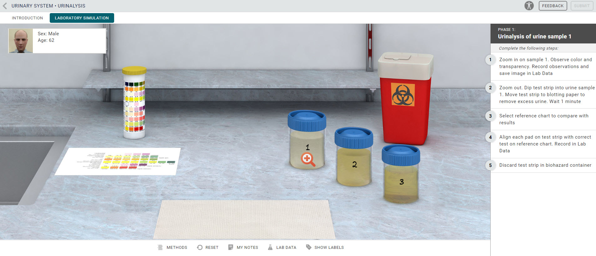 Screenshot of Anatomy & Physiology simulation