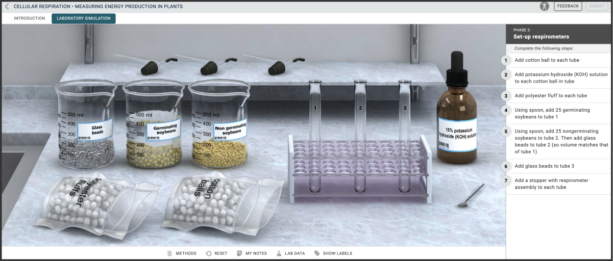 screenshot of Ecology & Botany simulations