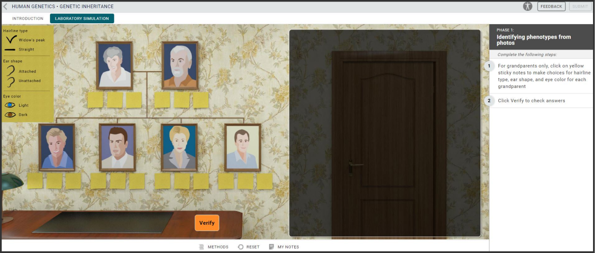 screenshot of Genetics simulation