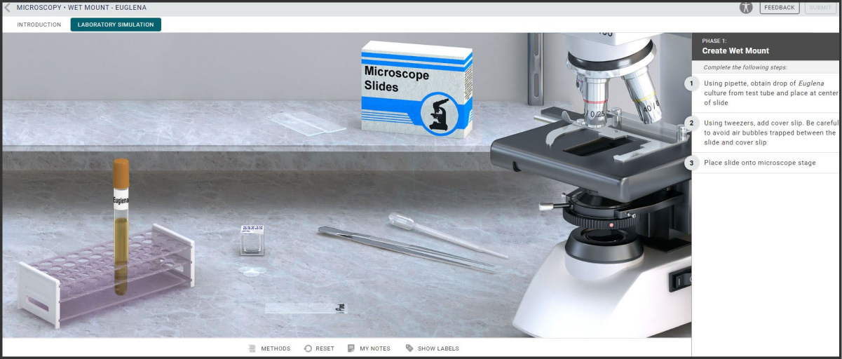 screenshot of Microbiology simulation