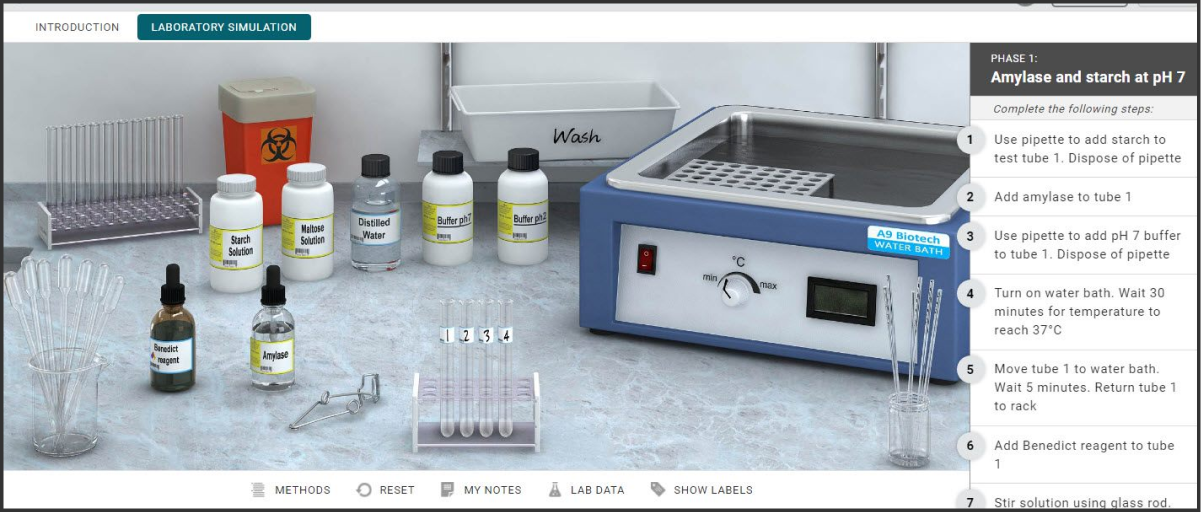 screenshot of Nutrition simulation lab