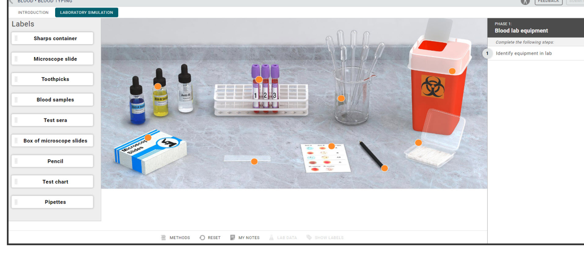Screenshot of Pharmacology simulation lab