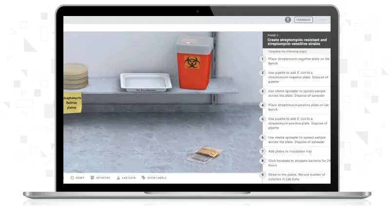 Screenshot of Natural Selection: Antibiotic-Resistant Bacteria simulation