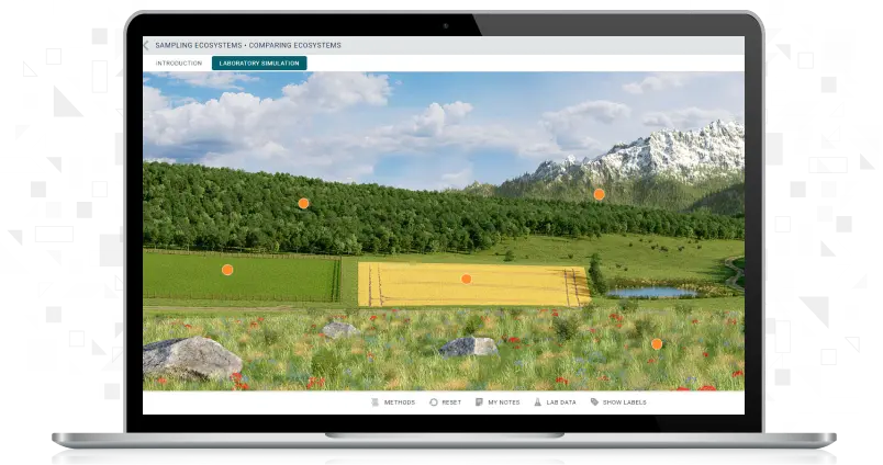 Screenshot of Comparing Ecosystems simulation