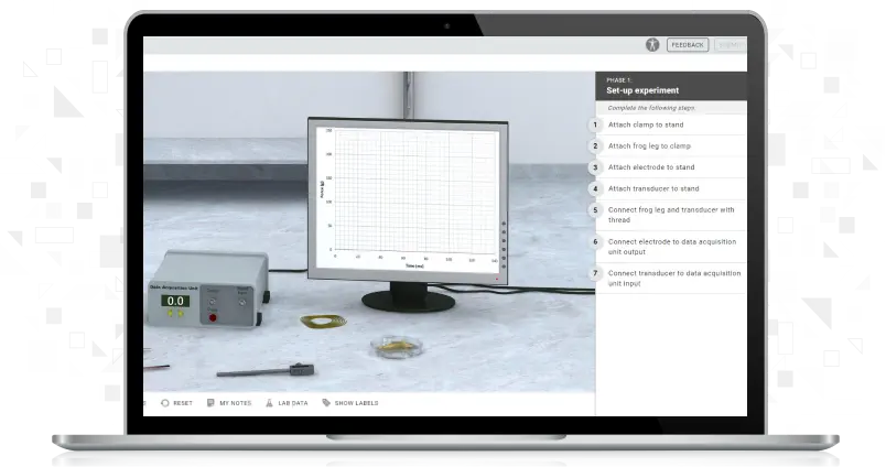 Screenshot of Skeletal Muscle: Electrical Stimulation simulation