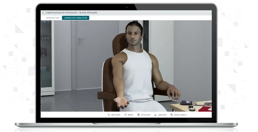 screenshot of Cardiovascular Physiology: Blood Pressure Simulation