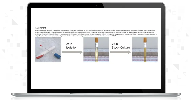 screenshot of Unknown Bacterial Identification (10 samples) Simulation