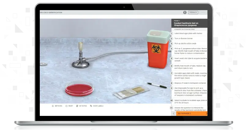 Screenshot of Biochemical Testing: Antimicrobial Testing for Gram-Positive Cocci Identification Simulation