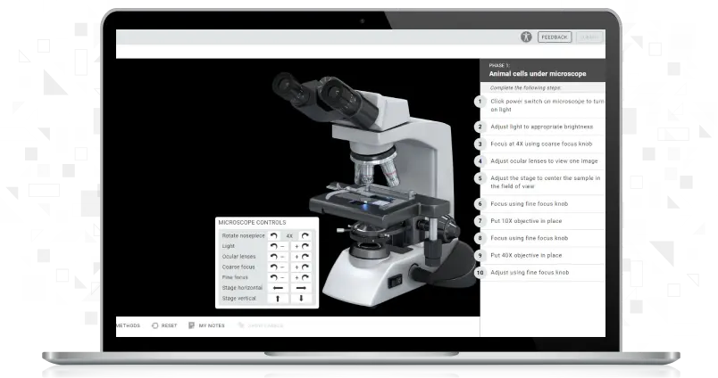 Screenshot of Examining Plant & Animal Cells simulation