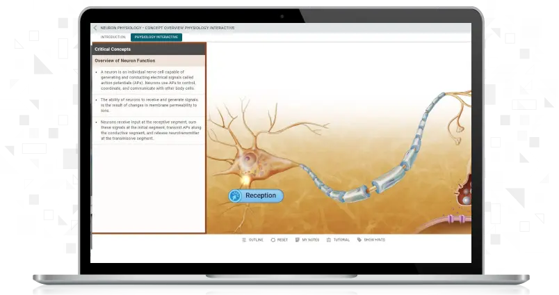 screenshot of Neuron Physiology simulation