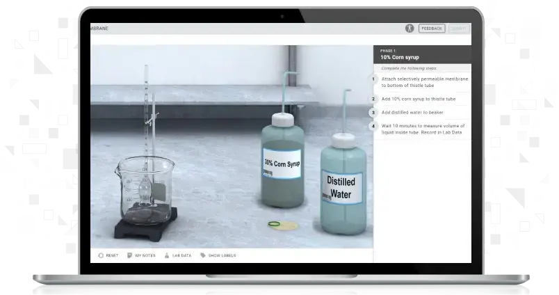 Screenshot of Osmosis simulation