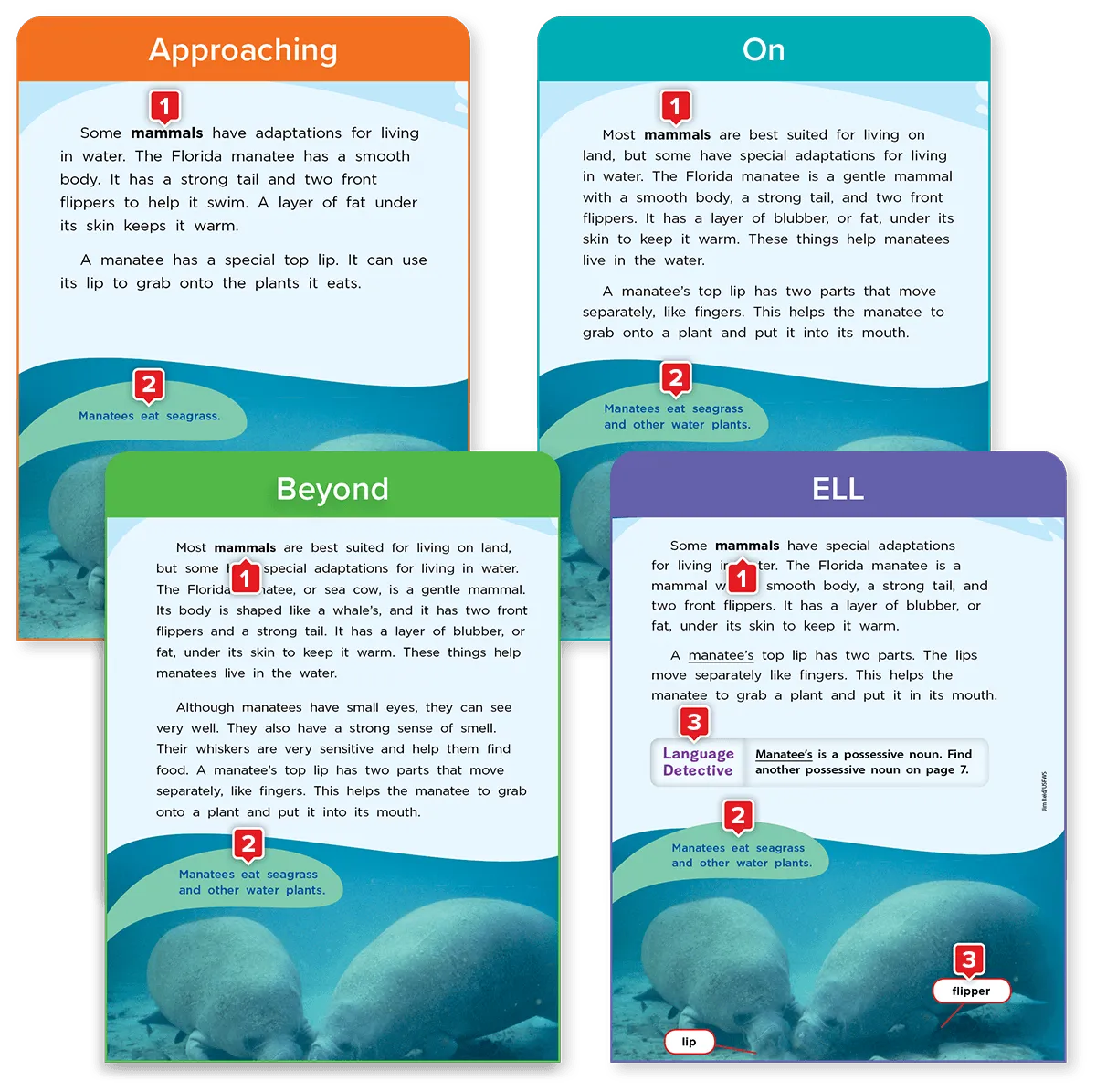 Screenshot of Leveled Readers interactive vocabulary learning cards