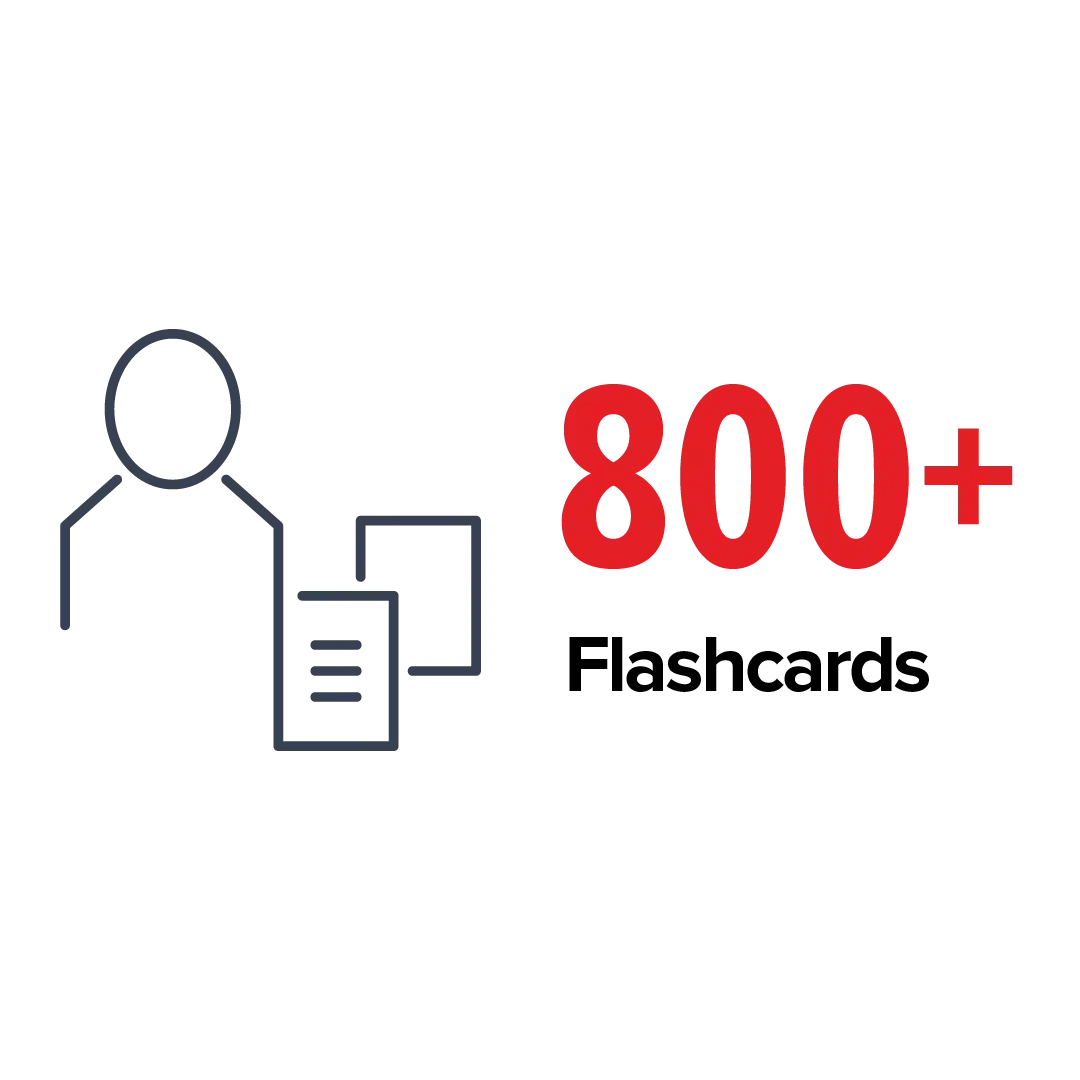 800+ Flashcards
